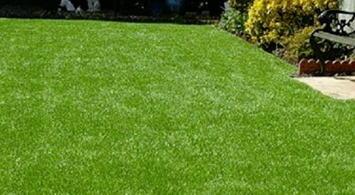 Artificial Grass