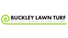 Buckley Lawn Turf