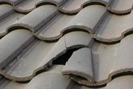 Roof Repairs